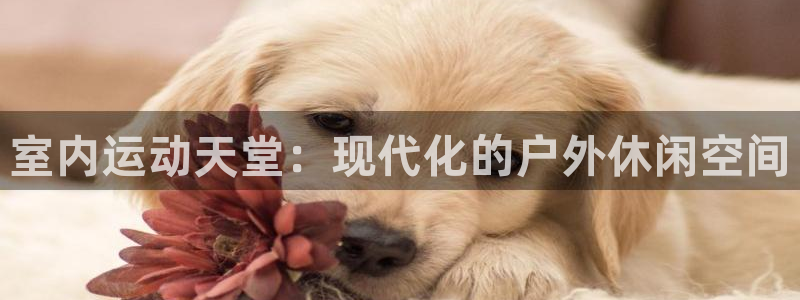 室内运动天堂：现代化的户外休闲空间