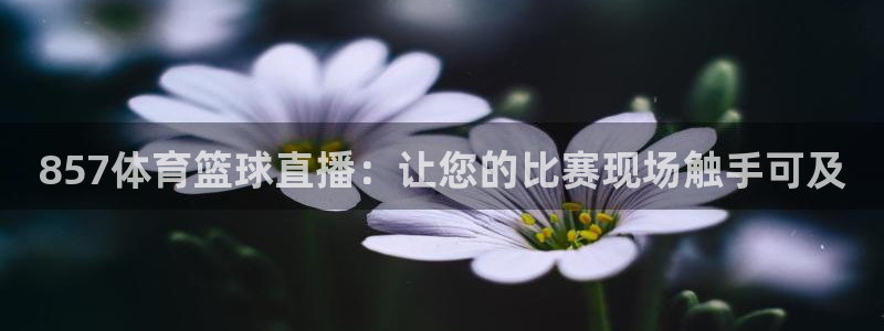 足球360直播高清直播