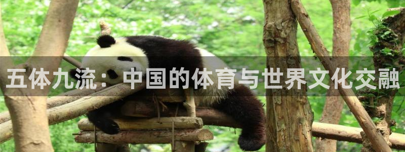 360 足球直播：五体九流：中国的体育与