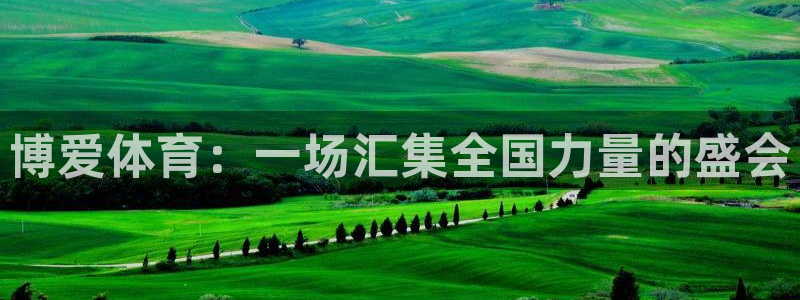 360足球无插件直播