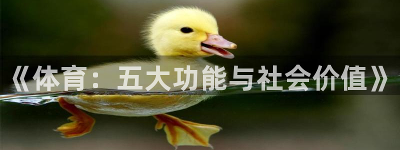 360足球比赛直播完整版