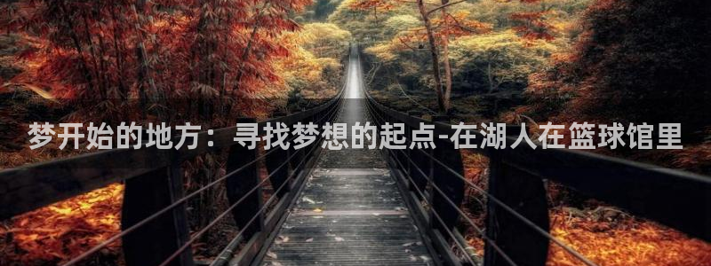 360篮球直播免费观看高清