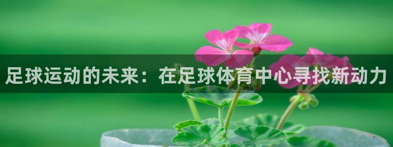 nba直播免费观看360低调：足球运动的